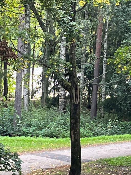 Hyvaellae Sijainnilla Iso Kaksio Hervannassa * Tampere